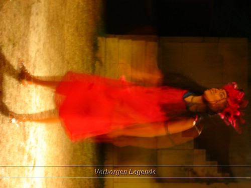 DSC02642.JPG (35,5 KB)