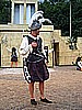 DSC02568.JPG(114 KB)