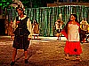 DSC02632.JPG(67,0 KB)
