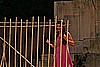 premiere 6 juli 087.jpg(35,0 KB)